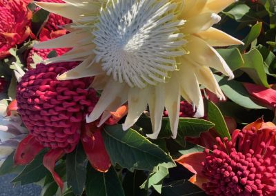 McKinnon Native Flowers